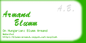 armand blumm business card